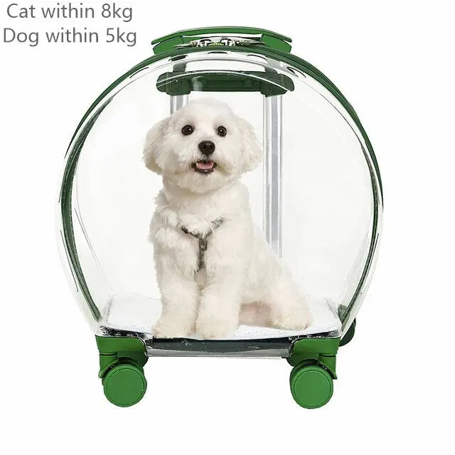 Valise à roulettes pour animaux de compagnie, capsule transparente, rose, verte, chiots, chiens, sac de transport pour chats, 5-20 kg.