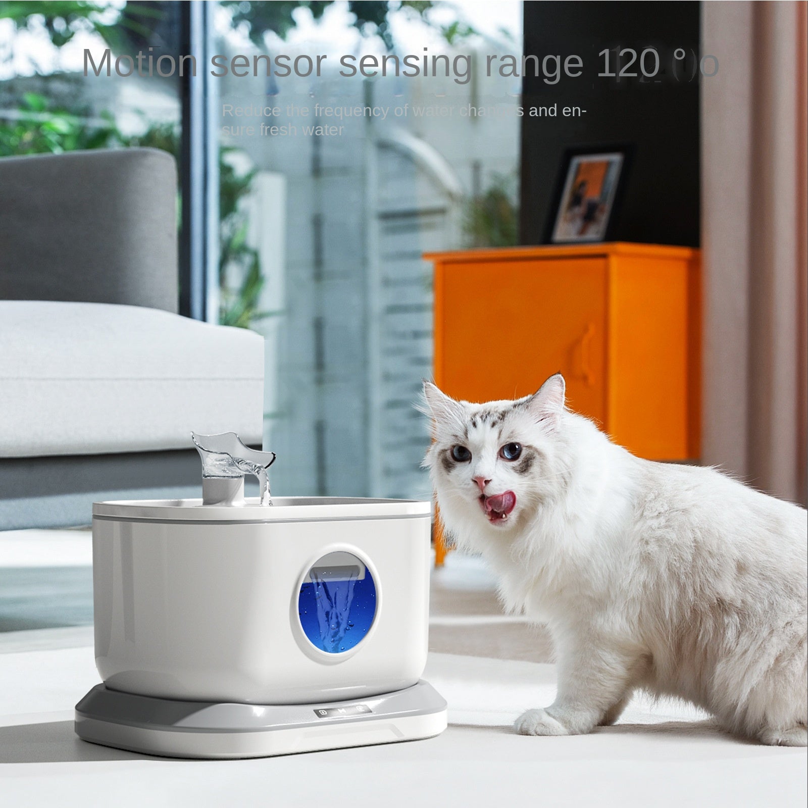 Distributeur d'eau sans fil pour chat rechargeable, grande capacité, longue durée, pour animaux de compagnie