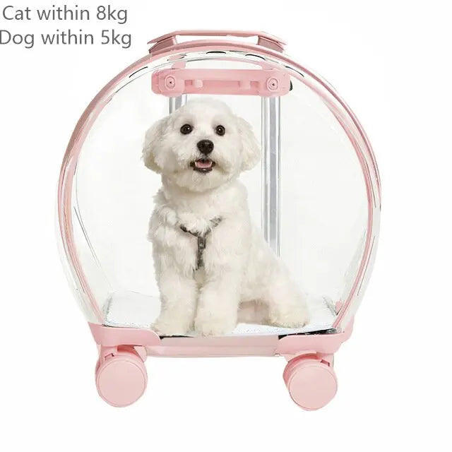 Valise à roulettes pour animaux de compagnie, capsule transparente, rose, verte, chiots, chiens, sac de transport pour chats, 5-20 kg.