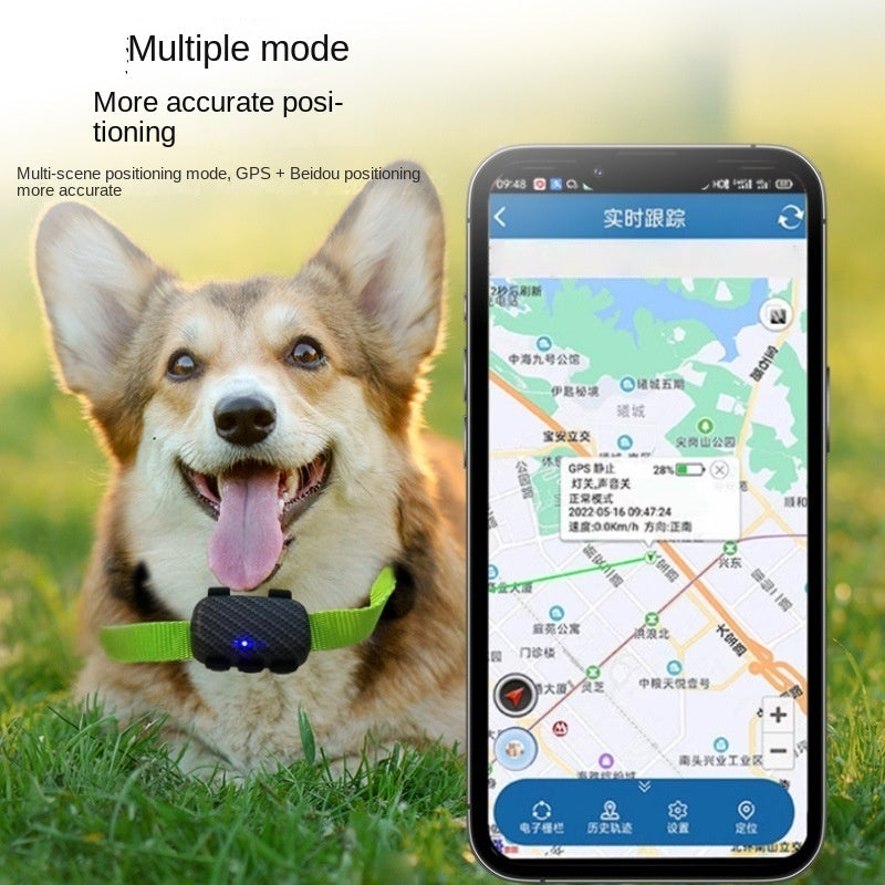 New Hot Pet Product 4G AccuNouveau produit tendance pour animaux de compagnie : traceur GPS 4G pour chats et chiens, avec positionnement précis, étanche et réglable.