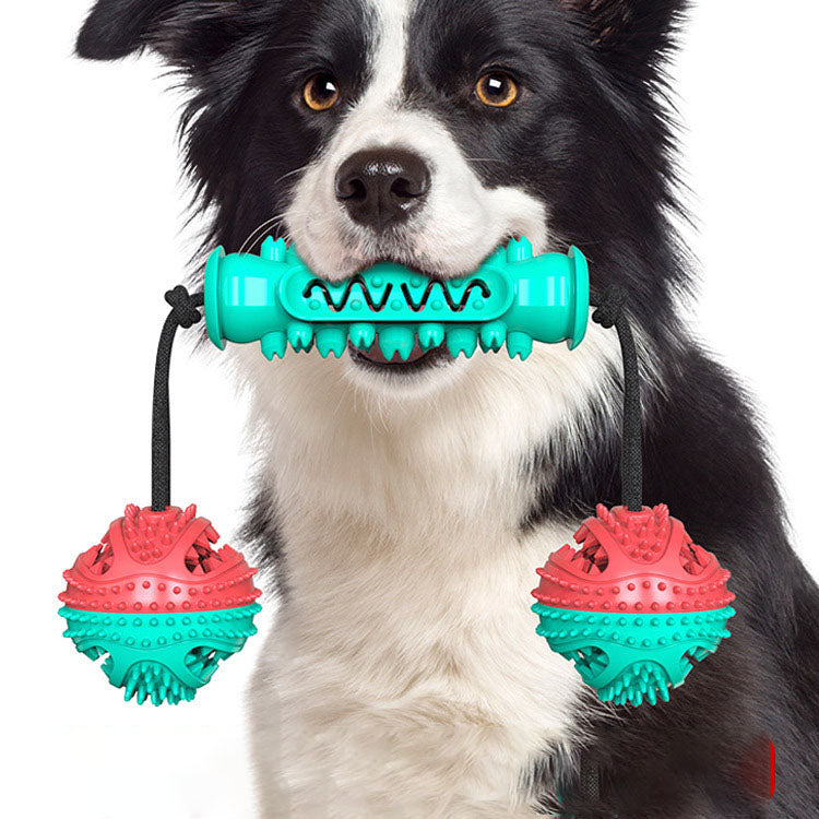 Jouet pour chien Molar Stick résistant aux morsures Brosse à dents Jouet pour chien avec corde 3 produits pour animaux de compagnie