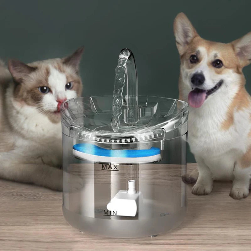 Distributeur d'eau pour animaux de compagnie à circulation automatique, intelligent, à température constante, électrique et silencieux.
