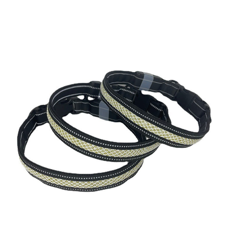 Nouveau collier lumineux pour chat et chien rechargeable par USB Application pour téléphone portable