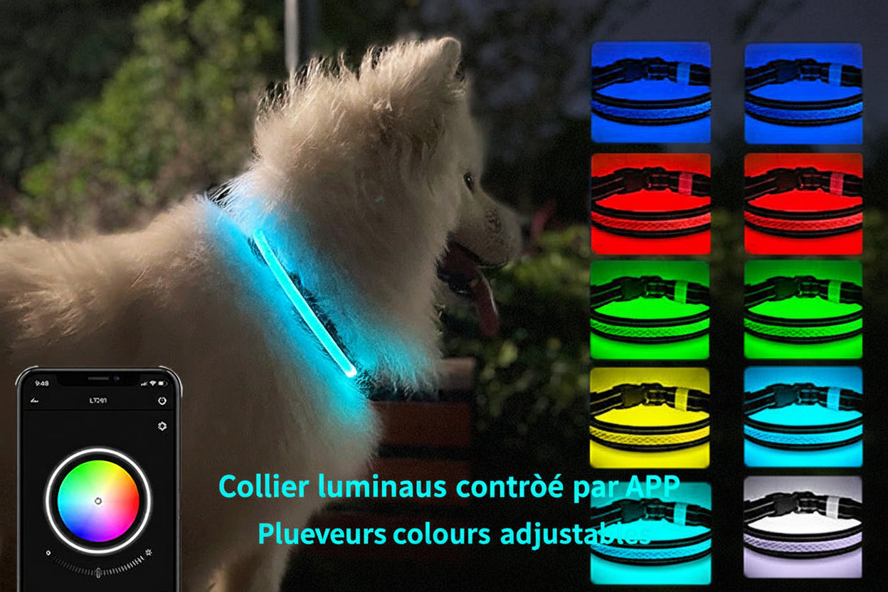 Nouveau collier lumineux pour chat et chien rechargeable par USB Application pour téléphone portable