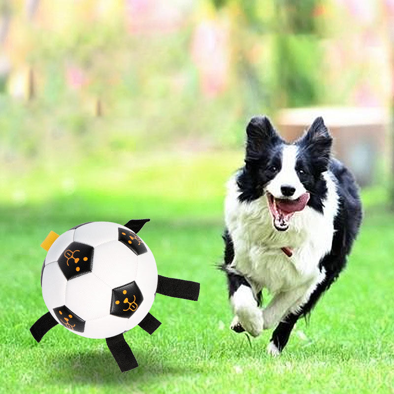 Jouet interactif pour l'extérieur Balle d'entraînement pour chiens Balle multifonctionnelle avec corde à mordre Jouet pour chiens