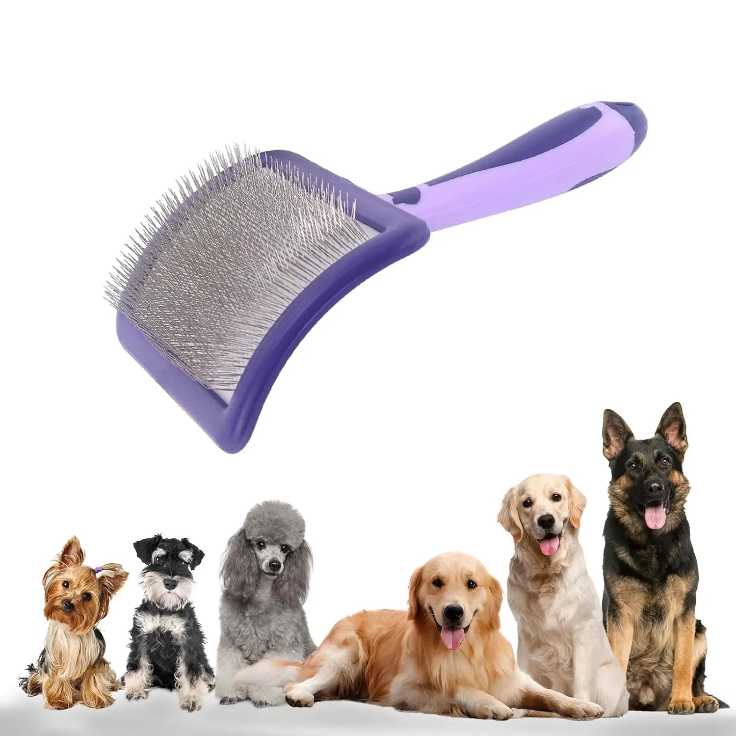 Brosse pour chiens pour toilettage des caniches Brosse démêlante pour démêler les poils des caniches, bergers allemands, pitbulls, yorkshires et retrievers Bain