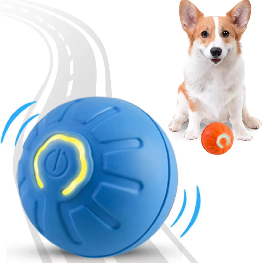 Jouets pour animaux Gravity Electric