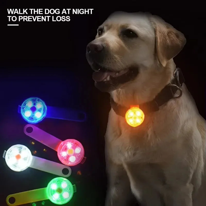 Collier pour chien et chat, collier anti-perte, lampe de sécurité LED résistante aux intempéries, collier lumineux LED rechargeable par USB, chien, chat, animal de compagnie