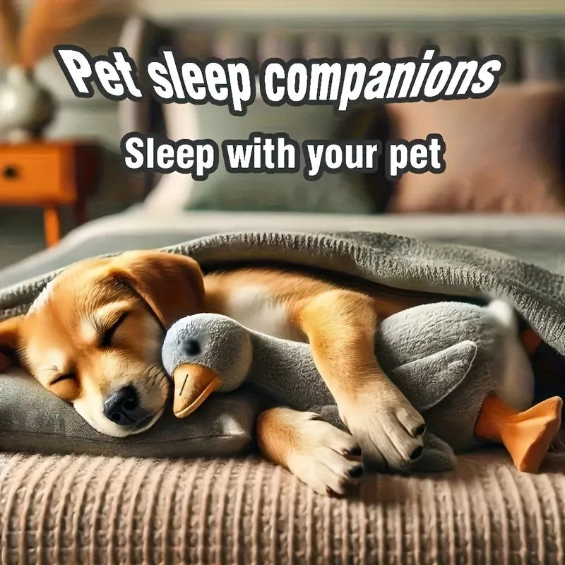 Peluche colorée en forme de canard de 50 cm pour chats et chiens, compagnon relaxant pour animaux de compagnie, compagnon pour chiens apaisant l'anxiété, cadeau pour libérer l'énergie des animaux de compagnie