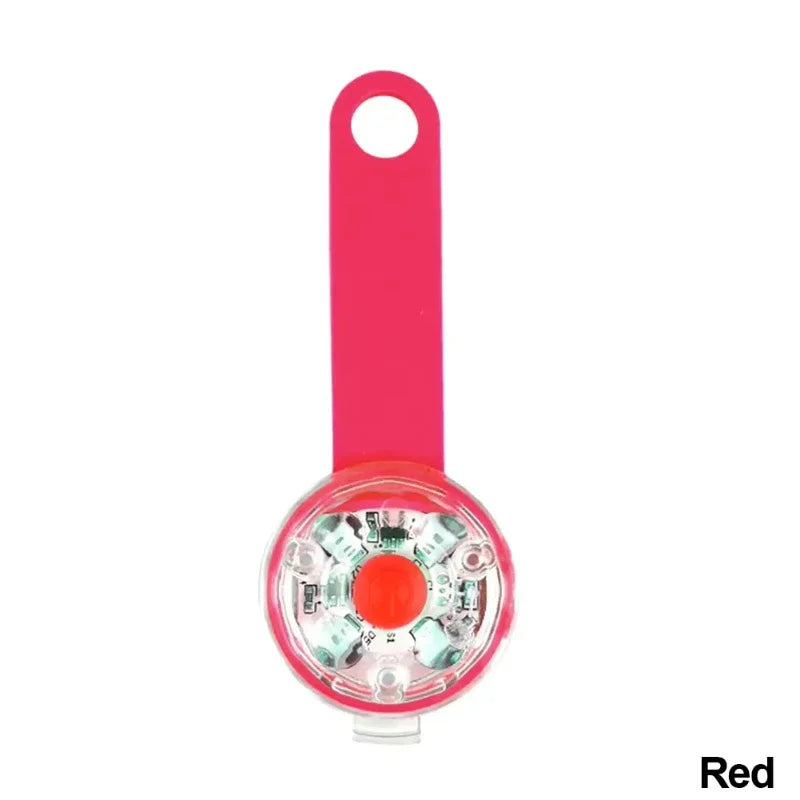 Collier pour chien et chat, collier anti-perte, lampe de sécurité LED résistante aux intempéries, collier lumineux LED rechargeable par USB, chien, chat, animal de compagnie