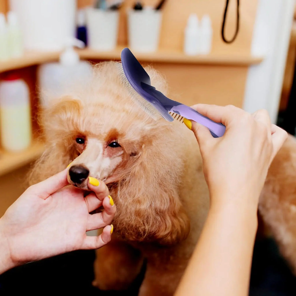 Brosse pour chiens pour toilettage des caniches Brosse démêlante pour démêler les poils des caniches, bergers allemands, pitbulls, yorkshires et retrievers Bain
