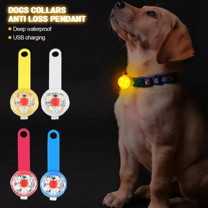 Collier pour chien et chat, collier anti-perte, lampe de sécurité LED résistante aux intempéries, collier lumineux LED rechargeable par USB, chien, chat, animal de compagnie