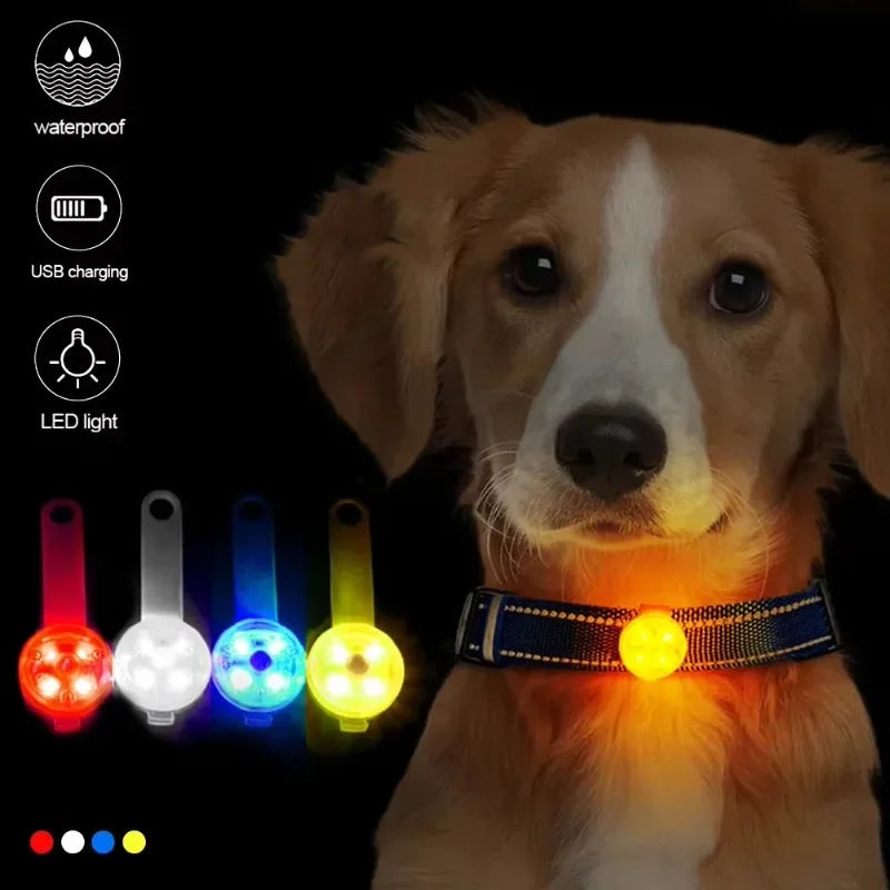 Collier pour chien et chat, collier anti-perte, lampe de sécurité LED résistante aux intempéries, collier lumineux LED rechargeable par USB, chien, chat, animal de compagnie