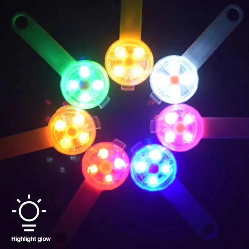 Collier pour chien et chat, collier anti-perte, lampe de sécurité LED résistante aux intempéries, collier lumineux LED rechargeable par USB, chien, chat, animal de compagnie